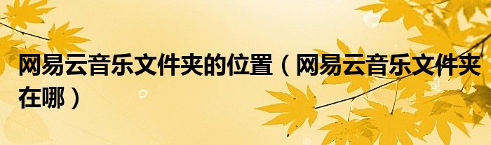網(wǎng)易云音樂文件夾的位置（網(wǎng)易云音樂文件夾在哪）
