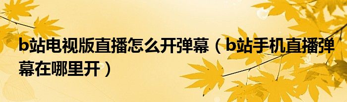 b站電視版直播怎么開彈幕（b站手機直播彈幕在哪里開）