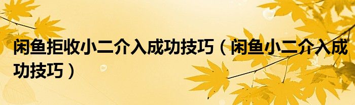 閑魚拒收小二介入成功技巧（閑魚小二介入成功技巧）