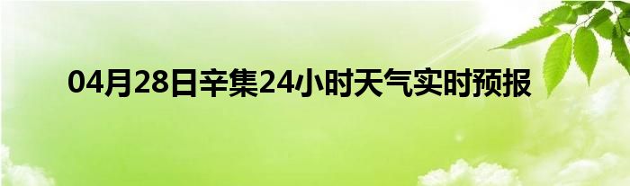 04月28日辛集24小時天氣實時預報