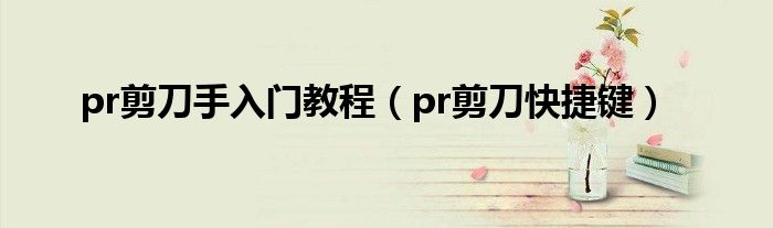 pr剪刀手入門教程（pr剪刀快捷鍵）