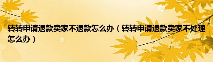轉(zhuǎn)轉(zhuǎn)申請(qǐng)退款賣家不退款怎么辦（轉(zhuǎn)轉(zhuǎn)申請(qǐng)退款賣家不處理怎么辦）
