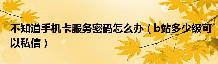 不知道手機(jī)卡服務(wù)密碼怎么辦（b站多少級可以私信）
