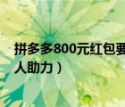 拼多多800元紅包要多少人助力（拼多多百元紅包需要多少人助力）
