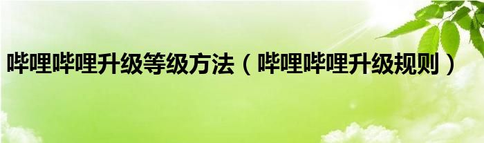 嗶哩嗶哩升級(jí)等級(jí)方法（嗶哩嗶哩升級(jí)規(guī)則）