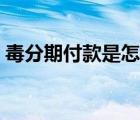 毒分期付款是怎樣付的（毒可以分期付款嗎）