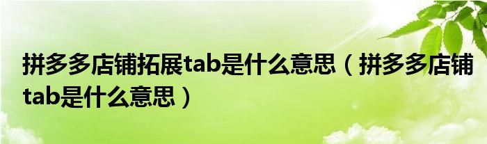 拼多多店鋪拓展tab是什么意思（拼多多店鋪tab是什么意思）