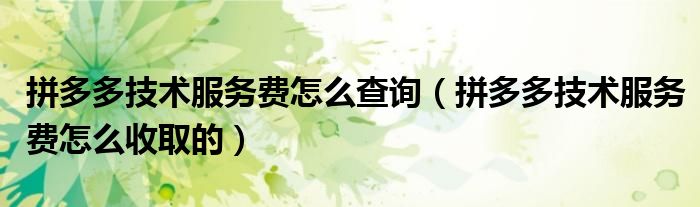 拼多多技術(shù)服務(wù)費怎么查詢（拼多多技術(shù)服務(wù)費怎么收取的）