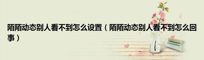 陌陌動態(tài)別人看不到怎么設(shè)置（陌陌動態(tài)別人看不到怎么回事）