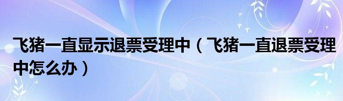 飛豬一直顯示退票受理中（飛豬一直退票受理中怎么辦）