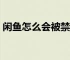 閑魚(yú)怎么會(huì)被禁言（閑魚(yú)被永久禁言了咋辦）