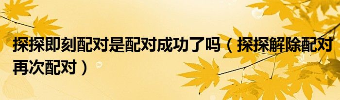 探探即刻配對是配對成功了嗎（探探解除配對再次配對）