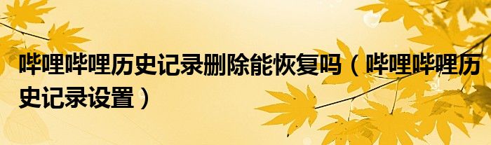 嗶哩嗶哩歷史記錄刪除能恢復(fù)嗎（嗶哩嗶哩歷史記錄設(shè)置）