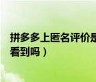 拼多多上匿名評價是什么意思（拼多多匿名評價了商家還能看到嗎）