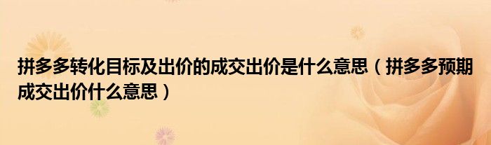 拼多多轉(zhuǎn)化目標(biāo)及出價(jià)的成交出價(jià)是什么意思（拼多多預(yù)期成交出價(jià)什么意思）