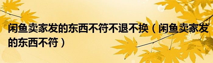 閑魚(yú)賣家發(fā)的東西不符不退不換（閑魚(yú)賣家發(fā)的東西不符）