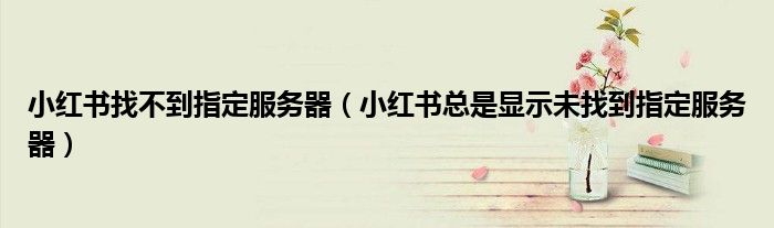 小紅書找不到指定服務(wù)器（小紅書總是顯示未找到指定服務(wù)器）