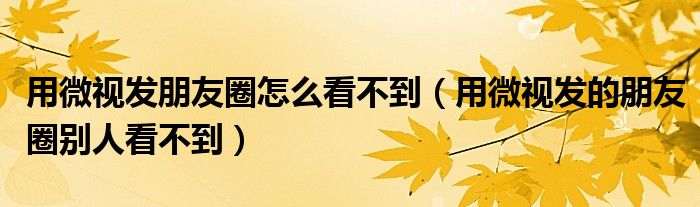 用微視發(fā)朋友圈怎么看不到（用微視發(fā)的朋友圈別人看不到）