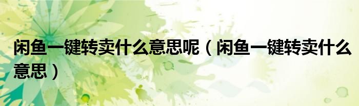 閑魚一鍵轉(zhuǎn)賣什么意思呢（閑魚一鍵轉(zhuǎn)賣什么意思）