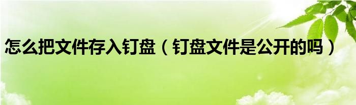 怎么把文件存入釘盤（釘盤文件是公開的嗎）