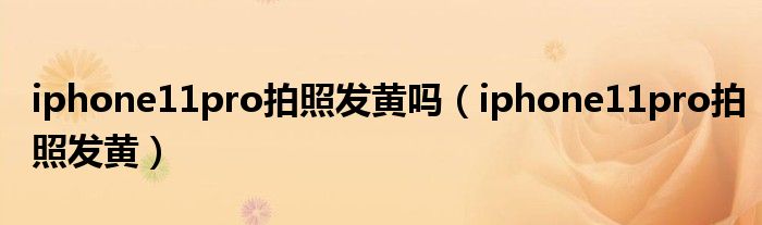 iphone11pro拍照發(fā)黃嗎（iphone11pro拍照發(fā)黃）