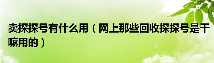 賣探探號(hào)有什么用（網(wǎng)上那些回收探探號(hào)是干嘛用的）