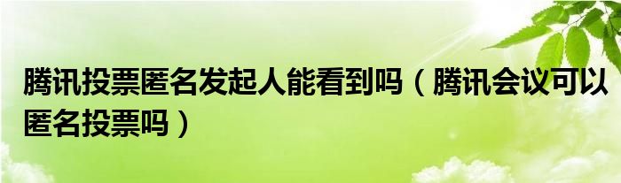 騰訊投票匿名發(fā)起人能看到嗎（騰訊會(huì)議可以匿名投票嗎）