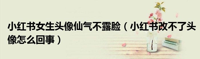 小紅書女生頭像仙氣不露臉（小紅書改不了頭像怎么回事）