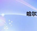 哈爾濱63號(hào)公告（哈）