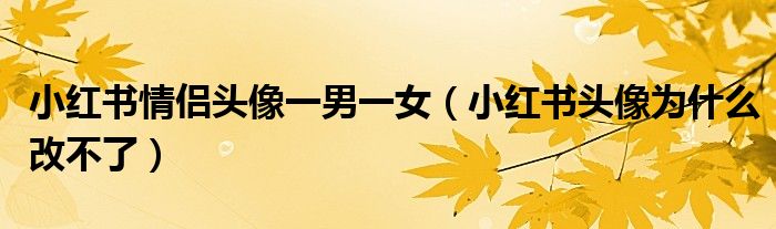 小紅書情侶頭像一男一女（小紅書頭像為什么改不了）