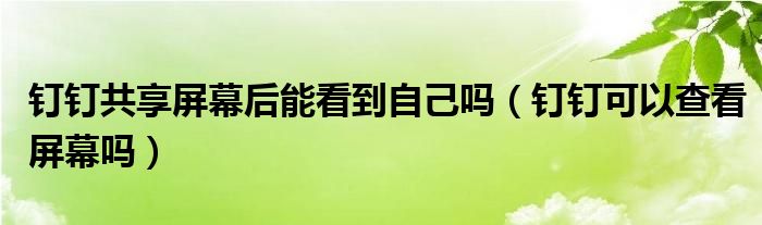 釘釘共享屏幕后能看到自己嗎（釘釘可以查看屏幕嗎）