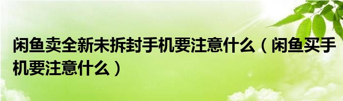 閑魚賣全新未拆封手機要注意什么（閑魚買手機要注意什么）
