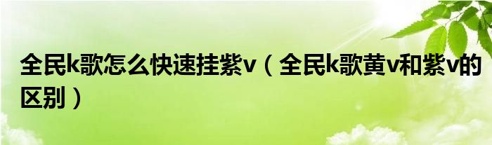 全民k歌怎么快速掛紫v（全民k歌黃v和紫v的區(qū)別）