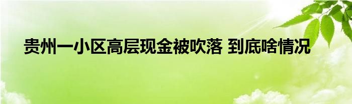 貴州一小區(qū)高層現(xiàn)金被吹落 到底啥情況