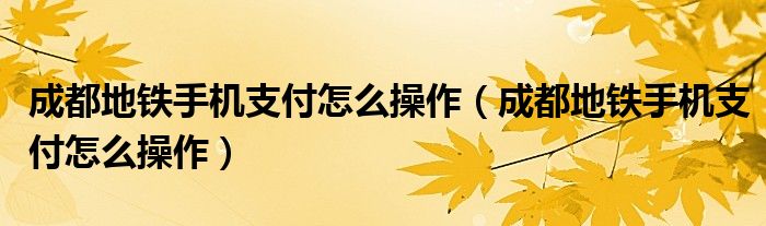 成都地鐵手機支付怎么操作（成都地鐵手機支付怎么操作）