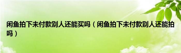 閑魚拍下未付款別人還能買嗎（閑魚拍下未付款別人還能拍嗎）