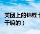 美團上的錦鯉卡是干嘛的（美團上的錦鯉卡是干嘛的）
