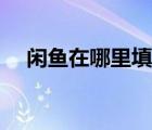 閑魚在哪里填寫邀請碼（閑魚在哪進(jìn)入）