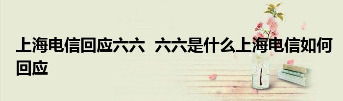 上海電信回應(yīng)六六 六六是什么上海電信如何回應(yīng)