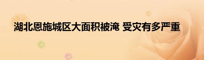湖北恩施城區(qū)大面積被淹 受災(zāi)有多嚴(yán)重