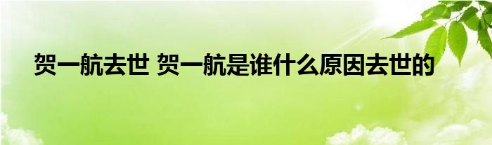 賀一航去世 賀一航是誰什么原因去世的