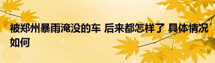 被鄭州暴雨淹沒的車 后來都怎樣了 具體情況如何