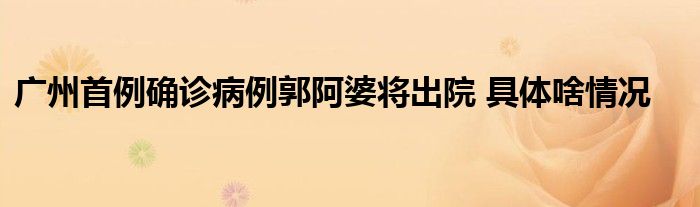廣州首例確診病例郭阿婆將出院 具體啥情況