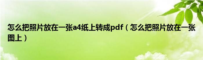 怎么把照片放在一張a4紙上轉(zhuǎn)成pdf（怎么把照片放在一張圖上）