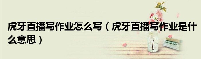 虎牙直播寫作業(yè)怎么寫（虎牙直播寫作業(yè)是什么意思）