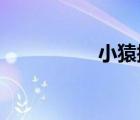小猿搜題能用電腦看嗎
