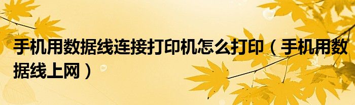 手機(jī)用數(shù)據(jù)線連接打印機(jī)怎么打印（手機(jī)用數(shù)據(jù)線上網(wǎng)）