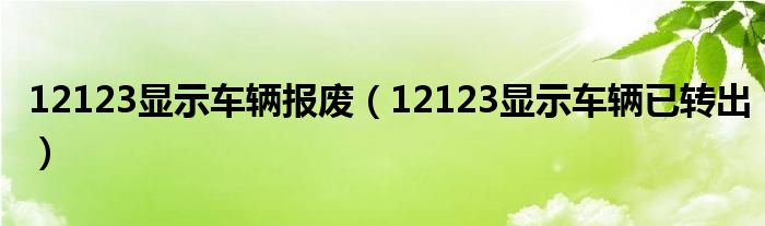 12123顯示車輛報(bào)廢（12123顯示車輛已轉(zhuǎn)出）