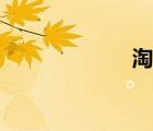 淘小鋪（淘指數(shù)）