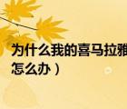 為什么我的喜馬拉雅聽一會(huì),都停了（聽喜馬拉雅老是自己停怎么辦）